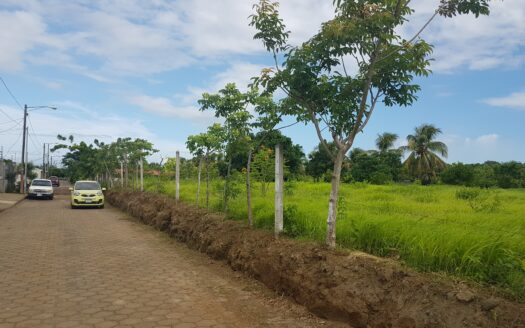 venta de lote de terreno de 1,000 vr2 entrada veracruz