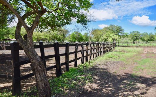 Venta de finca en Carretera Malpaisillo La paz centro LEON