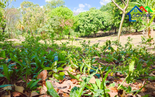 Terreno en Ticuantepe la Borgoña