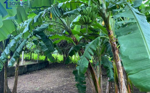 se vende terreno en Ticuantepe