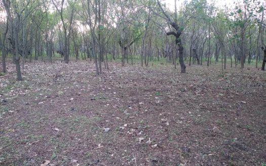 Terreno de venta en Ciudad Sandino, Nicaragua.