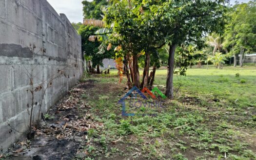 TERRENO EN VENTA EN LA BORGOÑA, TICUANTEPE