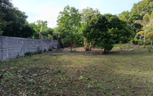 TERRENO EN VENTA EN LA BORGOÑA, TICUANTEPE