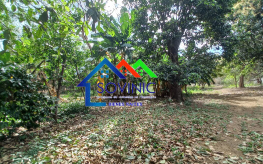TERRENO EN VENTA EN TICUANTEPE