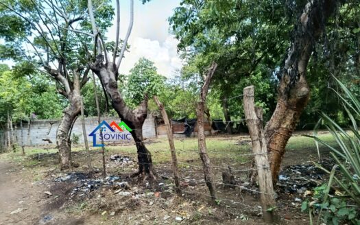 Terreno en venta – Buena Vista, El Raizón carretera a Masaya.