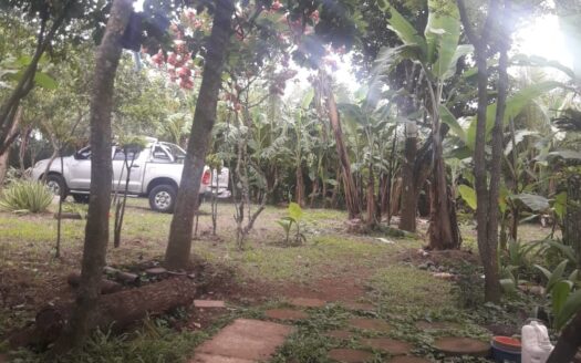 Terreno en venta con mejoras | Niquinomo – Masatepe